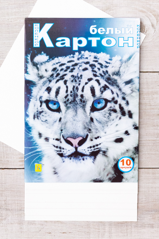 Картон білий А4 10 аркушів