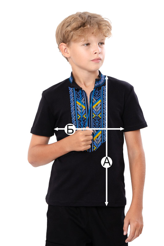 Вишиванка для хлопчика з коротким рукавом