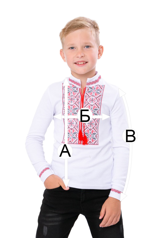 Вишиванка для хлопчика з довгим рукавом