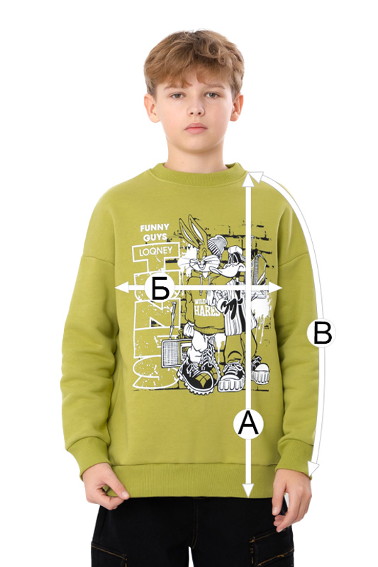 Світшот для хлопчика 